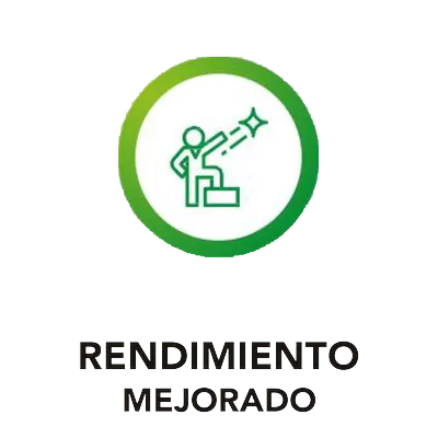 Rendimiento