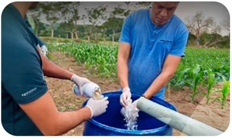 Misión de Agroterrum México: protección vegetal eficiente y sostenible para el campo mexicano